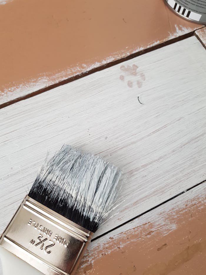 hire a painting company you can trust